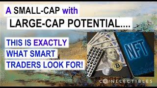 Let Me Show You EXACTLY What I Look for When I Invest in a Small-Cap Company!