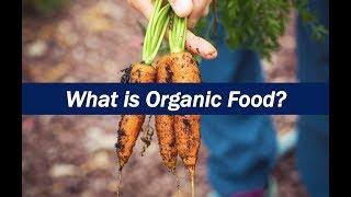 What is Organic Food?