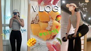 직장인 헬스 운동 브이로그 VLOG ‍️| 깨알 여름 운동복 소개 | 최애 운동복 브랜드 소개 | 운동복 추천 | 헬린이 운동 루틴 | 다이어트 식단 추천