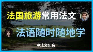 【法语旅游】巴黎生存必备282句，一看就会！法国自由行必学法语｜从机场到凯旋门全搞定。实用法语旅游对话｜让法国人夸你说得好。【法语速成】玩转法国必备单词和句型。零基础法语｜带你畅游法国的实用会话。