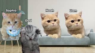 A Happy Family Cat Version