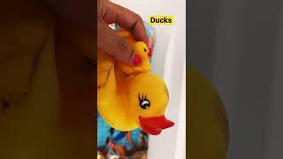 Ducks n ducklings #ducks #ducklings #water #bathtub #kids #viral #trendy #funny #1 #counting #learn