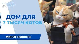 РАЗНОШЕРСТНАЯ КОЛЛЕКЦИЯ || КОТОВАСИЯ || Арт-галерея