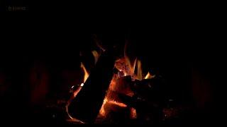  Relaxing Fireplace (3 Hours) with Burning Logs and Crackling Fire Sounds for Stress Relief 4K UHD