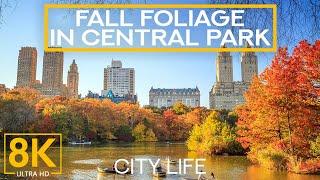 (8K UHD) Autumn in Central Park, New York - Fall Colors of the most Visited Park in the US