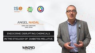 Endocrine Disrupting Chemicals in the Etiology of DM