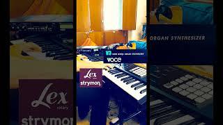 #shorts VOCE V3 organ & Strymon Lex V2 #music #hammondorgan @strymon