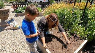 Raised Beds: Tour, Harvest, Clear Out & Planting New Crops!  // Garden Answer