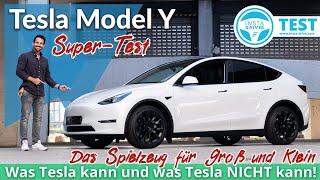 Tesla Model Y | Was Tesla kann und was Tesla NICHT kann - der Instadriver Super-Test