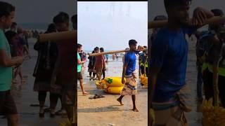 ব্যস্ত কর্মজীবীদের স্বপ্ন  #shortvideo #shortsfeed #amazing #shorts #short #shortsyoutube #tujammil