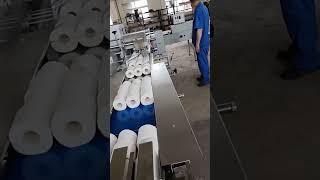 Customized toilet paper and kitchen towel paper packing machine