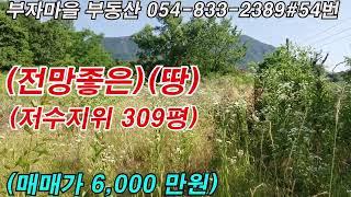 시퀀스 02 4 #매물 54번  @경북 의성군 저수지위 전망좋은땅 309평 참좋은땅@매매가 6,000 만원@의성싼땅@의성시골촌집@경북부동산@의성부동산@영천부동산