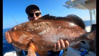 Florida Red Grouper Fishing Regulations for 2024! + How to Find & Catch Red Grouper