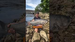 America’s Most INVASIVE Fish! 