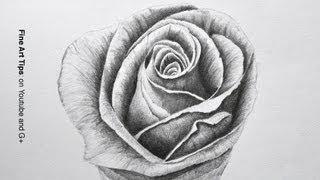 Drawing Flowers: How to Draw a Rose With Pencil - Fine Art-Tips.