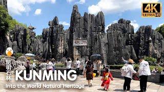 Stone Forest, Kunming, Yunnan China's Unbelievable Natural Wonders (4K HDR)