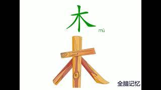 幼儿识字-木 Learning Chinese Character-wood