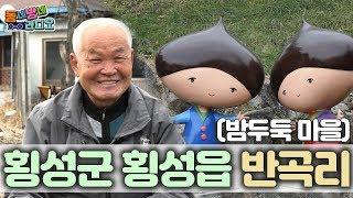 [동네방네 라디오] 횡성군 횡성읍 반곡리_(밤두둑 마을)