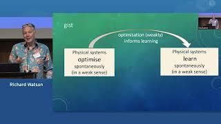 20 Richard Watson Natural Induction:Spontaneous problem solving biological and abiological networks