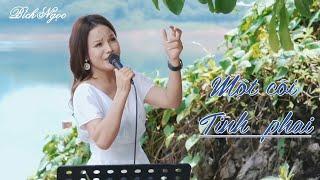 Bích Ngọc - Một cõi tình phai (Ngô Thụy Miên)