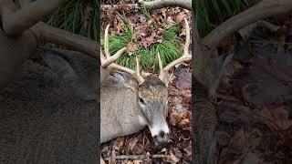 2024 Rut recap.