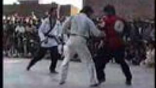 Very rare fight  kung fu vs taekwondo (Master Ehsan Shafiq)