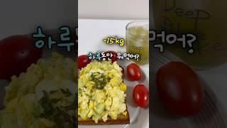 60kg로 돌아가지 않기 위한 식단 일기