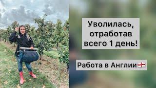 Уволилась, отработав всего 1 день! | Mansfield farm | РАБОТА В АНГЛИИ