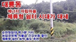 순천시 토지 1억 / 대룡동 에너지 자립마을 근처 "체류형 쉼터"용도로 알맞은 농지1,283㎡(약388)