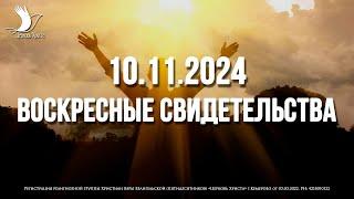 ЕЖЕНЕДЕЛЬНЫЕ СВИДЕТЕЛЬСТВА | КЕМЕРОВО  10.11.2024