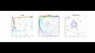 Lid-driven cavity flow. Contour plots of vorticity, velocity and pressure