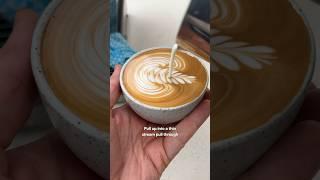 How to pour a Rosetta | POV latte art