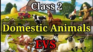 Domestic Animals | Animals that help us | Farms Animals | EVS Class 2 | Part 1