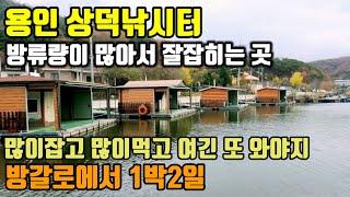 방갈로 시설도 깔끔하고 고기도 많이잡을수 있는곳 | 상덕낚시터 | 서울근교낚시터 | 유료낚시터 | 민물낚시 | 붕어낚시