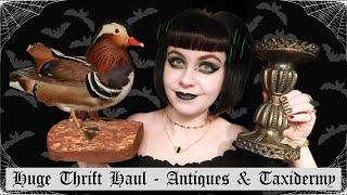 HUGE GOTH THRIFT HAUL | Taxidermy, Antiques, Gothic Home Decor & Edgar Allan Poe Books