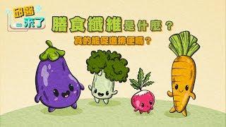 【邱醫來了】膳食纖維是什麼？真的能促進排便嗎？還有其他好處嗎？