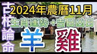 【古柏論命每月運勢+吉日凶日】2024年農曆11月(陽曆2024年12/1 ~ 12/30)生肖運勢分享 -  羊、雞