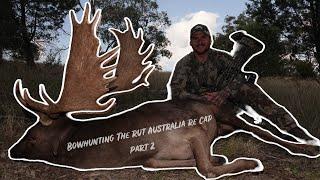 Bowhunting The Rut Australia 2024 - Re Cap ( Part 2 )