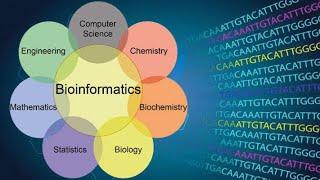 Bioinformatics: History and scope #bscbiotech #bioinformatics#Vsem