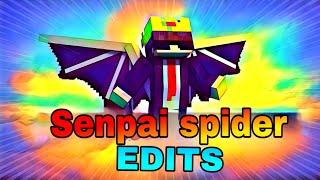 When Senpai Spider Has Too Much Swag  | Storm SMP | Video Edit