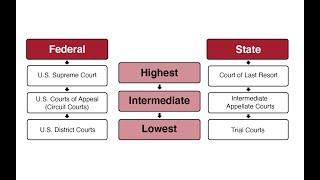 Caselaw Basics