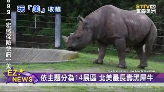 加州"舊金山動物園" 仿照原始生態環境/明星動物大解密！"黑犀牛"看似笨重卻速度驚人