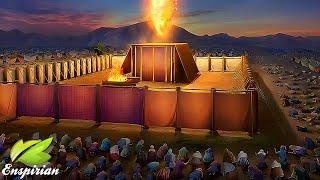 ARK OF FIRE | DWELLING IN GOD'S SANCTUARY | 7 HOURS ANGELS SINGING FOR DEEP HEALING & RELAXATION