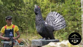 Woodcarving - A Life Size Western Capercaillie Cock