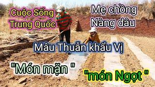 64.dâu Việt học " Làm Nông " Từ Mẹ chồng_ Và ăn bánh màn thầu chấm Tương Thịt Cừu.