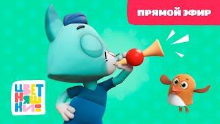 Цветняшки - Песенки из мультфильма - Прямой эфир - Музыка для детей