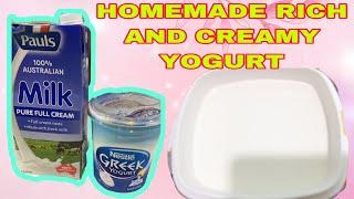 HOW TO MAKE HOMEMADE RICH AND CREAMY YOGURT?/Ammage 8026