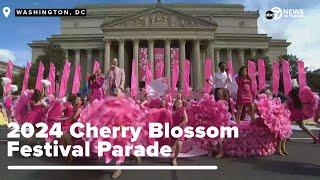 WATCH | 2024 Cherry Blossom Festival Parade