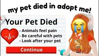 PETS CAN DIE IN ADOPT ME?