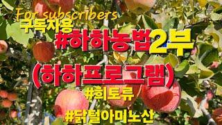 사과재배는 정성이다#하하프로그램 2부#하하농법2부#문경사과